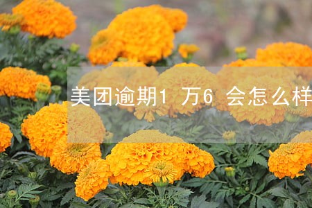 美团逾期1万6会怎么样 美团逾期1万6会怎么样