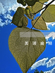 美团逾期1万三发短信息说要上门 美团逾期1万三发短信息说要上门
