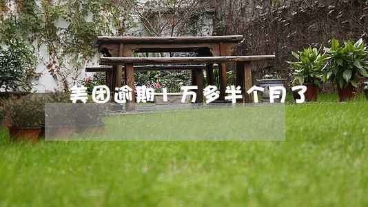 美团逾期1万多半个月了 美团逾期1万多半个月了