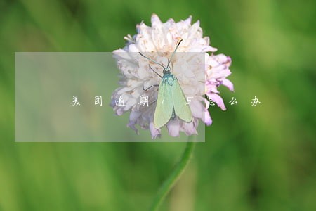 美团逾期1万怎么办