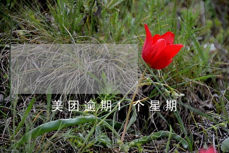 美团逾期1个星期 美团逾期1个星期
