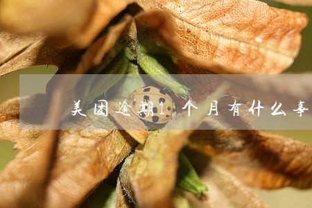 美团逾期1个月有什么事 美团逾期1个月有什么事