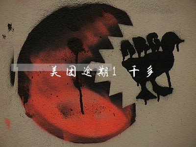 美团逾期1千多 美团逾期1千多