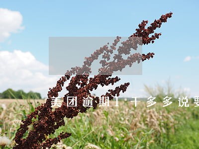 美团逾期1千多多说要约谈 美团逾期1千多多说要约谈