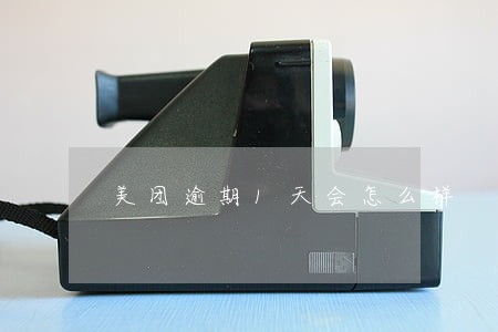 美团逾期1天会怎么样 美团逾期1天会怎么样