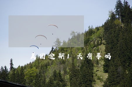 美团逾期1天有事吗 美团逾期1天有事吗