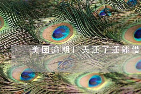 美团逾期1天还了还能借吗 美团逾期1天还了还能借吗