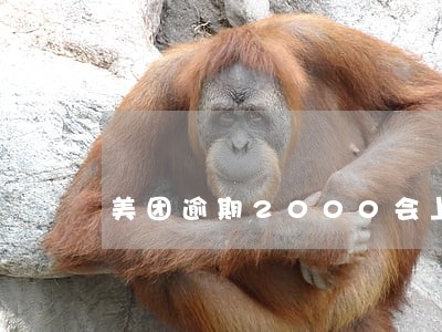 美团逾期2000会上门吗 美团逾期2000会上门吗