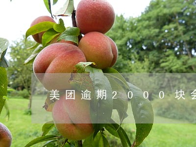 美团逾期2000块会找上门吗 美团逾期2000块会找上门吗