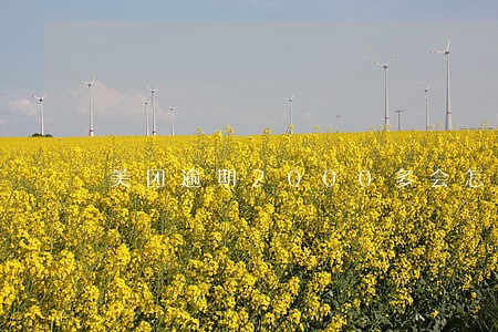 美团逾期2000多会怎么样 美团逾期2000多会怎么样