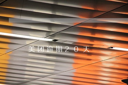 美团逾期20天 美团逾期20天