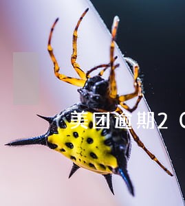 美团逾期20天严重吗 美团逾期20天严重吗