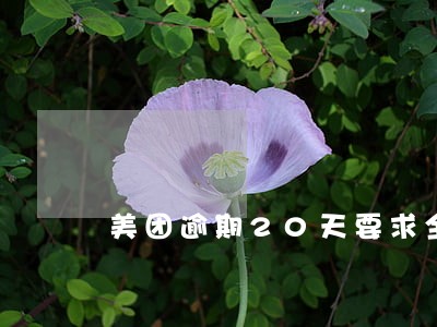 美团逾期20天要求全额还款 美团逾期20天要求全额还款