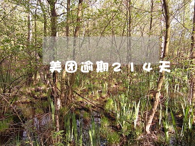 美团逾期214天 美团逾期214天