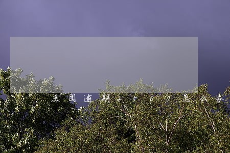 美团逾期2500怎么办 美团逾期2500怎么办