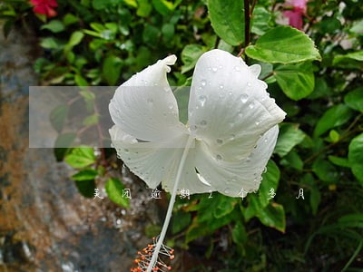 美团逾期2个多月 美团逾期2个多月