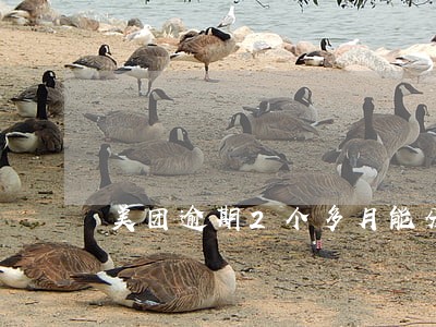 美团逾期2个多月能分期还不 美团逾期2个多月能分期还不