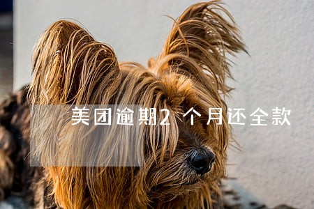 美团逾期2个月还全款 美团逾期2个月还全款