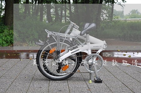 美团逾期2天后还款能借钱吗 美团逾期2天后还款能借钱吗