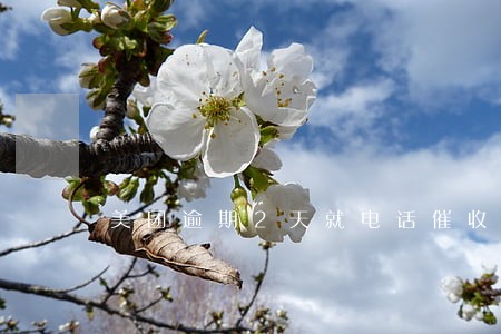 美团逾期2天就电话催收 美团逾期2天就电话催收