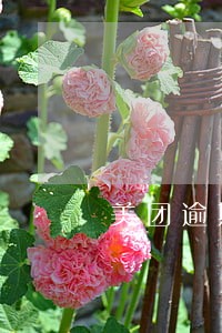 美团逾期2小时 美团逾期2小时