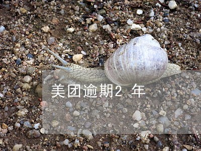 美团逾期2年 美团逾期2年