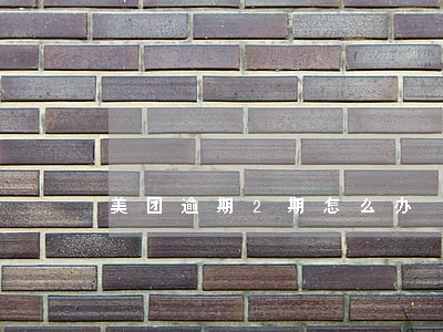 美团逾期2期怎么办 美团逾期2期怎么办