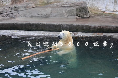 美团逾期3000说要gps找我 美团逾期3000说要gps找我