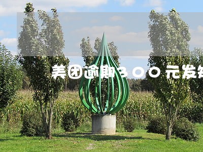 美团逾期300元发短信上门 美团逾期300元发短信上门