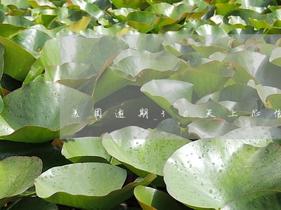 美团逾期30天上征信吗 美团逾期30天上征信吗