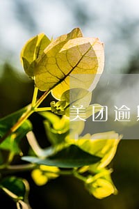 美团逾期30天会进黑名单吗 美团逾期30天会进黑名单吗