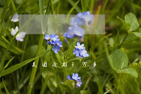 美团逾期3万多 美团逾期3万多