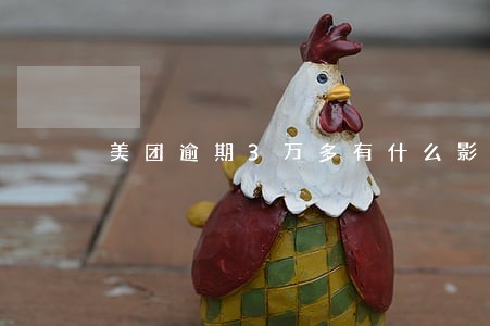 美团逾期3万多有什么影响 美团逾期3万多有什么影响