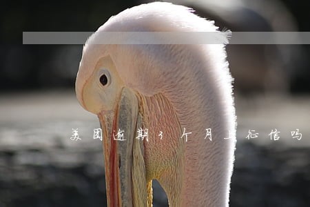 美团逾期3个月上征信吗 美团逾期3个月上征信吗