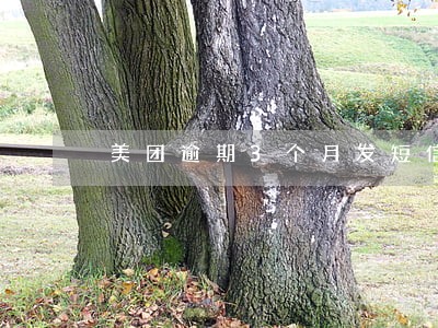 美团逾期3个月发短信说上门