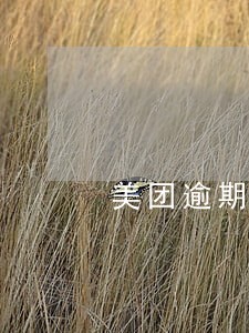 美团逾期3个月的后果 美团逾期3个月的后果