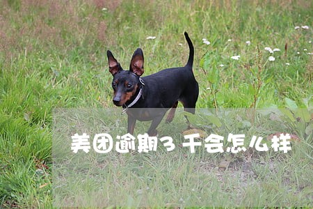 美团逾期3千会怎么样 美团逾期3千会怎么样