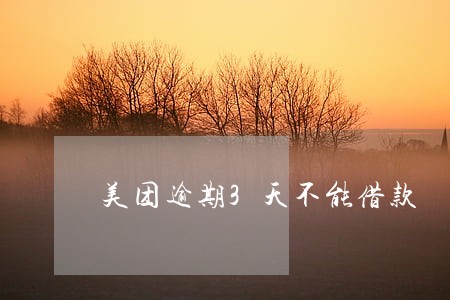 美团逾期3天不能借款