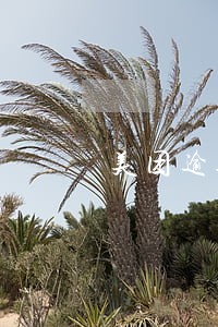 美团逾期3天会打电话给家人吗 美团逾期3天会打电话给家人吗
