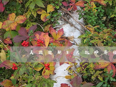 美团逾期3天就邮寄催收涵 美团逾期3天就邮寄催收涵
