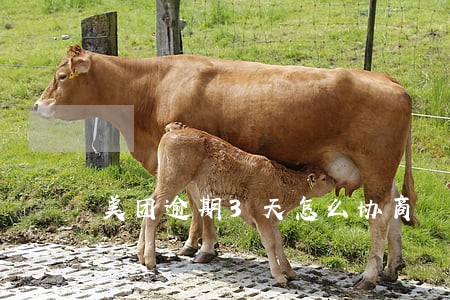美团逾期3天怎么协商 美团逾期3天怎么协商