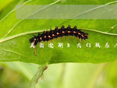 美团逾期3天打联系人 美团逾期3天打联系人