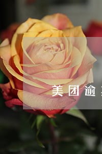 美团逾期3天有影响吗 美团逾期3天有影响吗