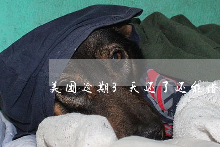 美团逾期3天还了还能借么 美团逾期3天还了还能借么