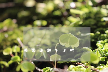 美团逾期3小时