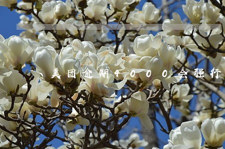 美团逾期4000会强行执法吗