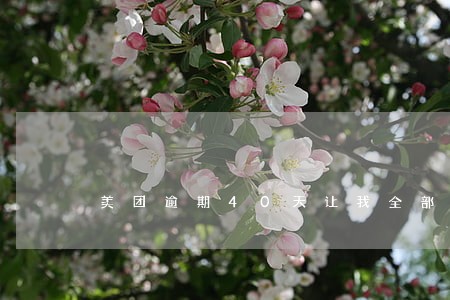 美团逾期40天让我全部结清