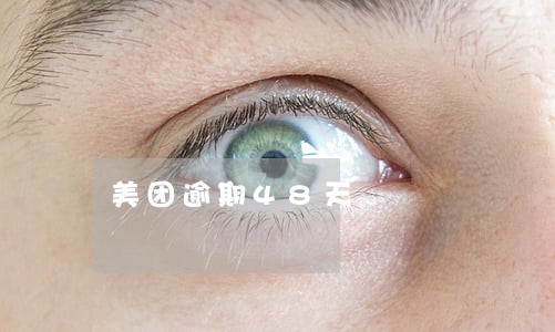 美团逾期48天 美团逾期48天