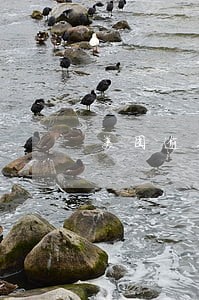 美团逾期4个月后果 美团逾期4个月后果