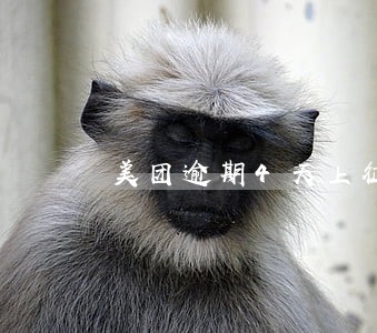 美团逾期4天上征信 美团逾期4天上征信